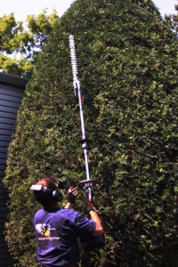 Get help pruning your trees or trimming your shrubs from All Terrain of Fargo, North Dakota