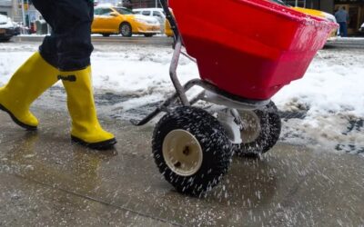 Should I sand or salt my driveway and walks in the winter?