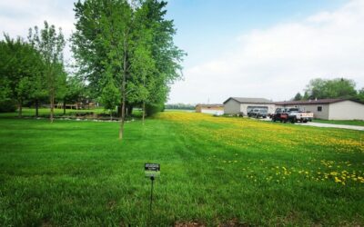 How to Feed Your Lawn