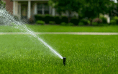 Watering. Sprinkling. Irrigating. Can You Have Too Much of a Good Thing?